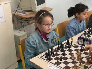 Alice. Poussine 2016