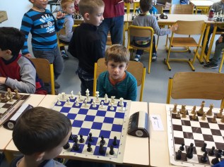 Roméo. Petit Poussin 2016